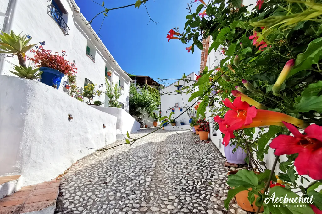 El Acebuchal, 'Turismo rural'