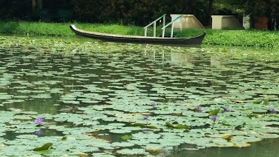 Photos of Dhamma Yawai Meditation Center
