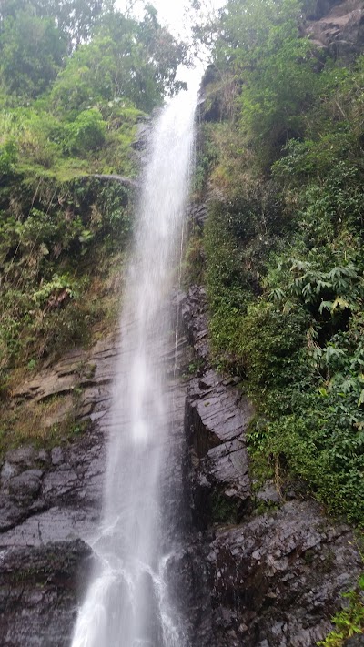 Photos of Blue Mountains