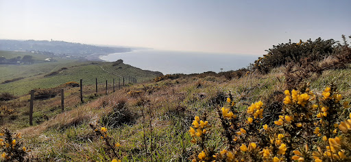 Cap d'ailly - Visual