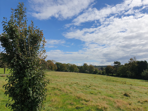 Dunvant park - Thumbnail