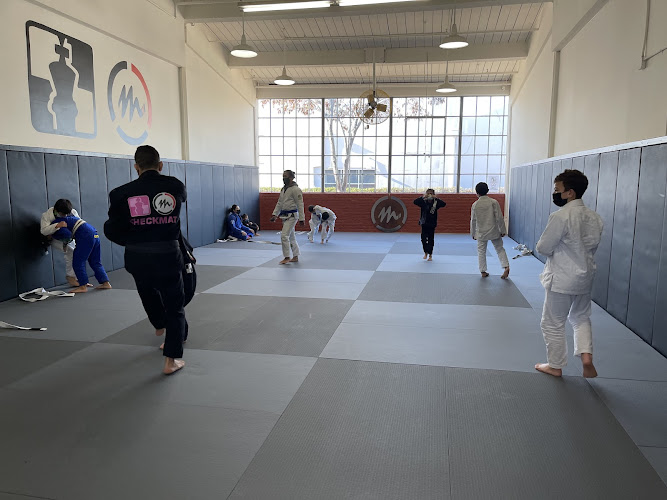Mineiro Brazilian Jiu Jitsu - Emeryville - brazilian jiu jitsu in Emeryville, California