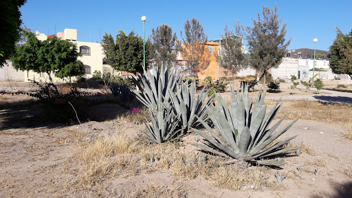 Buganvilias Park - Mexico
