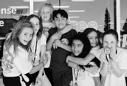 Roll Art Jiu Jitsu gym photo