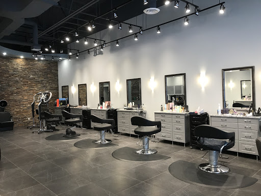 Salon Populus