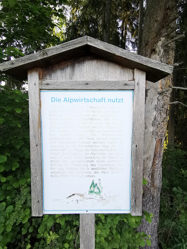 Rundwanderweg Grüner Pfad - Thumbnail