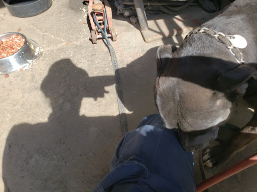 Taly Auto Repair & Towing - Thumbnail
