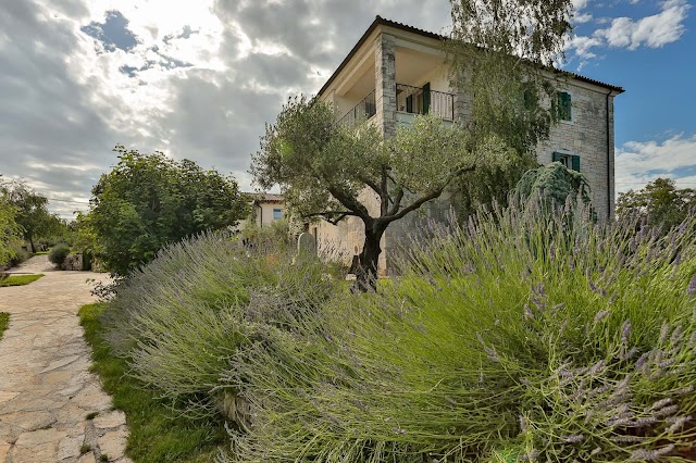 Casa Matiki