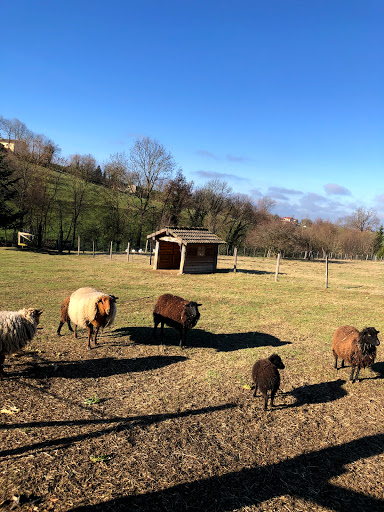 Photo de Camping la Route Bleue à Balbigny (42510)