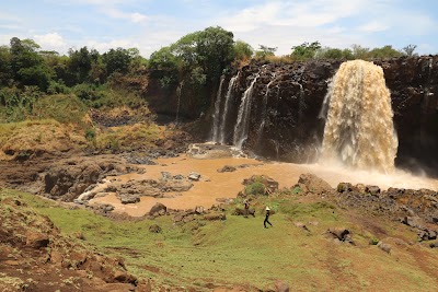 Photos of Lake Tana