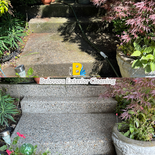 Belovora Exterior Cleaning Services - Thumbnail