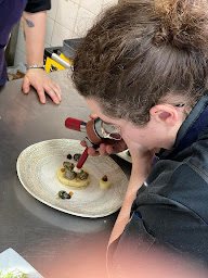 Photo n°44 de Restaurant La Route Bleue à La Fouillouse (Restaurant)