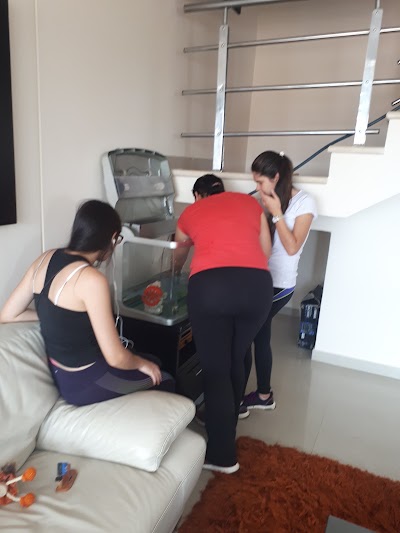 Photos of CORRECAMINOS