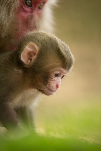 いわた山頂上休憩所