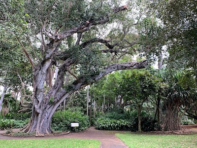 Foster Botanical Garden