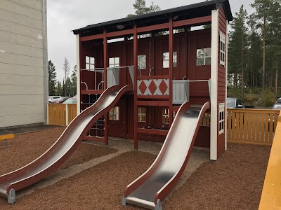 Photos of Dudesons Activity Park