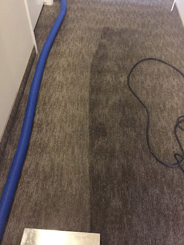 Carpet CPR by null