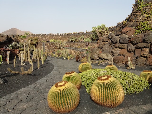 Jardín de Cactus de Lanzarote