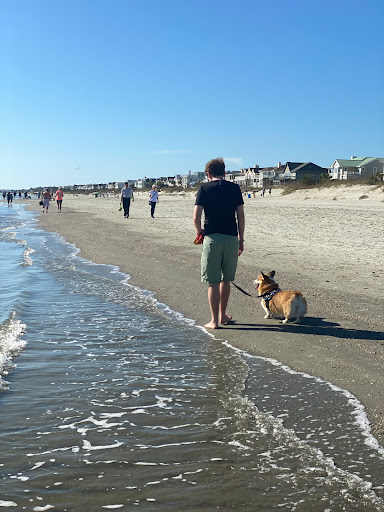 Parking - Isle of Palms - Thumbnail