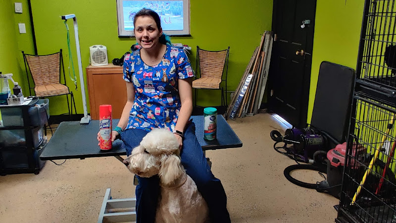 Shear It Up Dog Grooming Profile Image