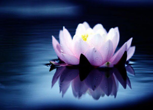 myyoga