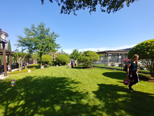 The Hampton at Meadows Place Gallery - United States