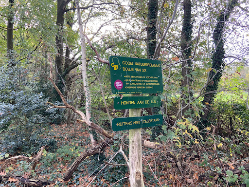Goois Natuurreservaat Bosje van Six - Thumbnail