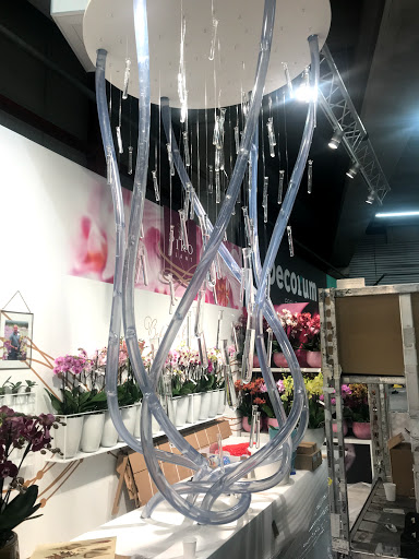 Seaflower - Visual