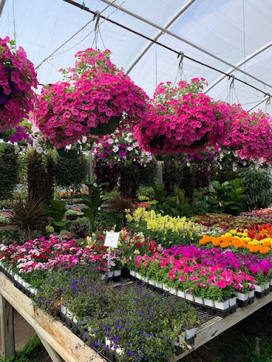 Matkins Flowers & Greenhouse - Thumbnail