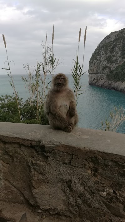 Photos of Plage Les Aiguades