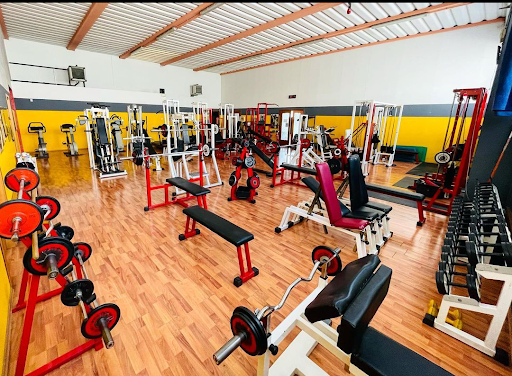 Olympia Associazione Sportiva Dilettantistica