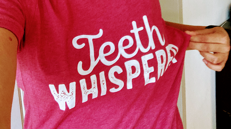 Tierärztliche Praxis für Pferde - Dr. Karin Palmer