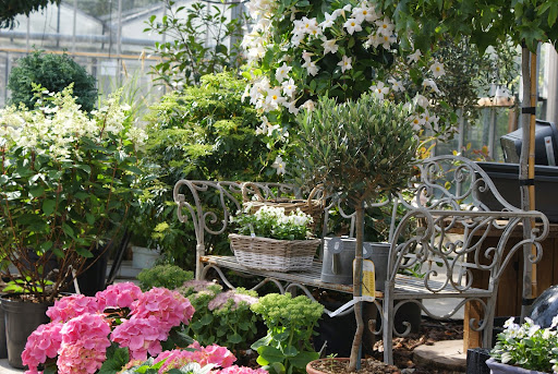 Photo de Les Jardins De La Phalecque à Mouvaux (59420)