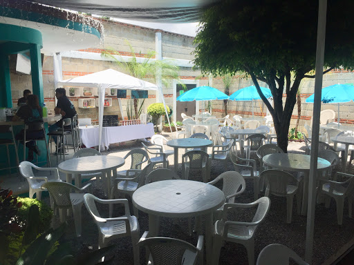 Las Curanderas - Visual