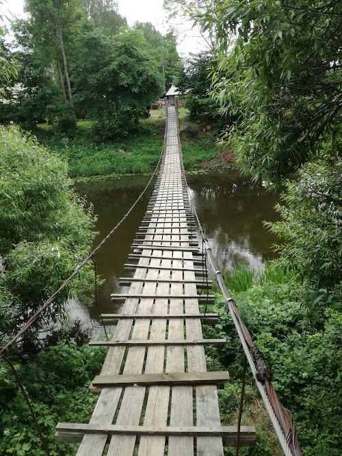 Monkey bridge