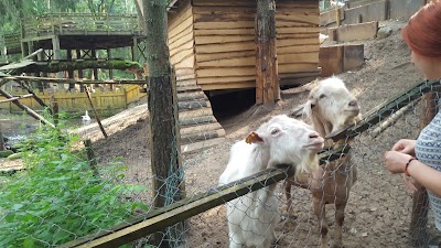 Photos of " Tru&scaron;u Karaliste" Lēdmanes Atpūtas Dabas Parks