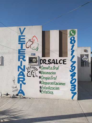 Veterinaria Dr. Salce - Thumbnail