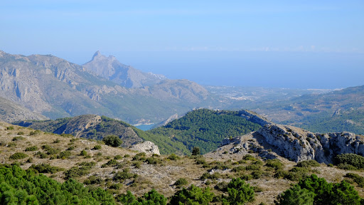 Recingle Alt (Serrella) Gallery - Spain