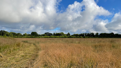 Penstemon Prairie (restoration site) - Thumbnail