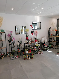 Photo n°10 de CHRISTINE FLEURS à Le Havre (Fleuriste)