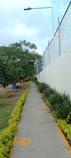 Colegio D'Abbadie - Thumbnail