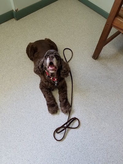 Photos of Atlantic Highlands Animal Hospital