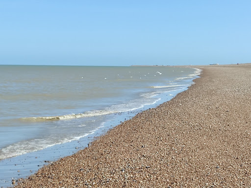 Dungeness National Nature Reserve - Thumbnail