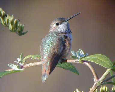 Fremont County Parks & Rec - Thumbnail