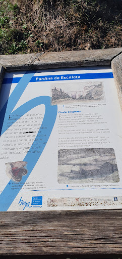 Pardina de Escalete - Thumbnail