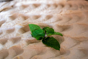 Photo n°30 de L'évasion à Cannes (Restaurant marocain)