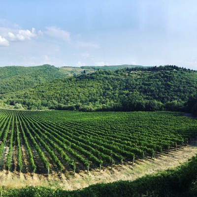 Montepulciano Wine Tours