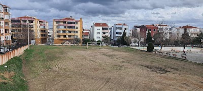 Ali Haydar Önder Anatolian High School