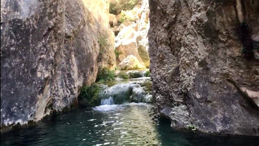 Engolidor - Thumbnail