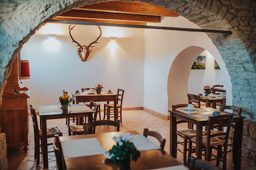 Old Fruit Farm - Visual